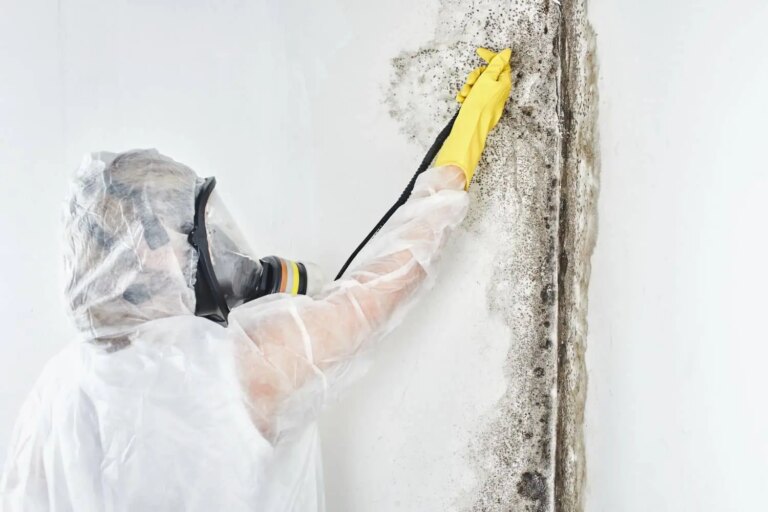 Technician in protective gear removing mold from a wall