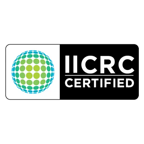 IICRC Certified Mold Remediation