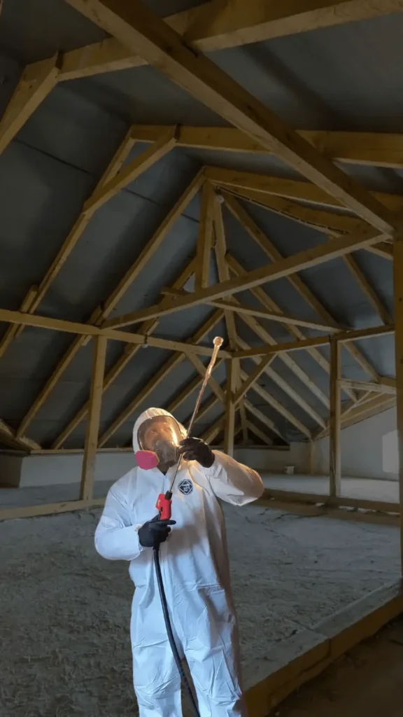 Mold professional spraying an attic