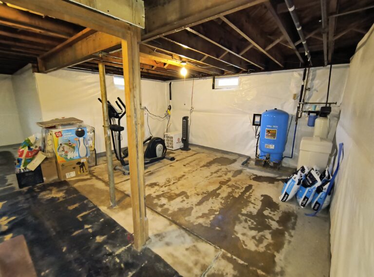mold in my basement