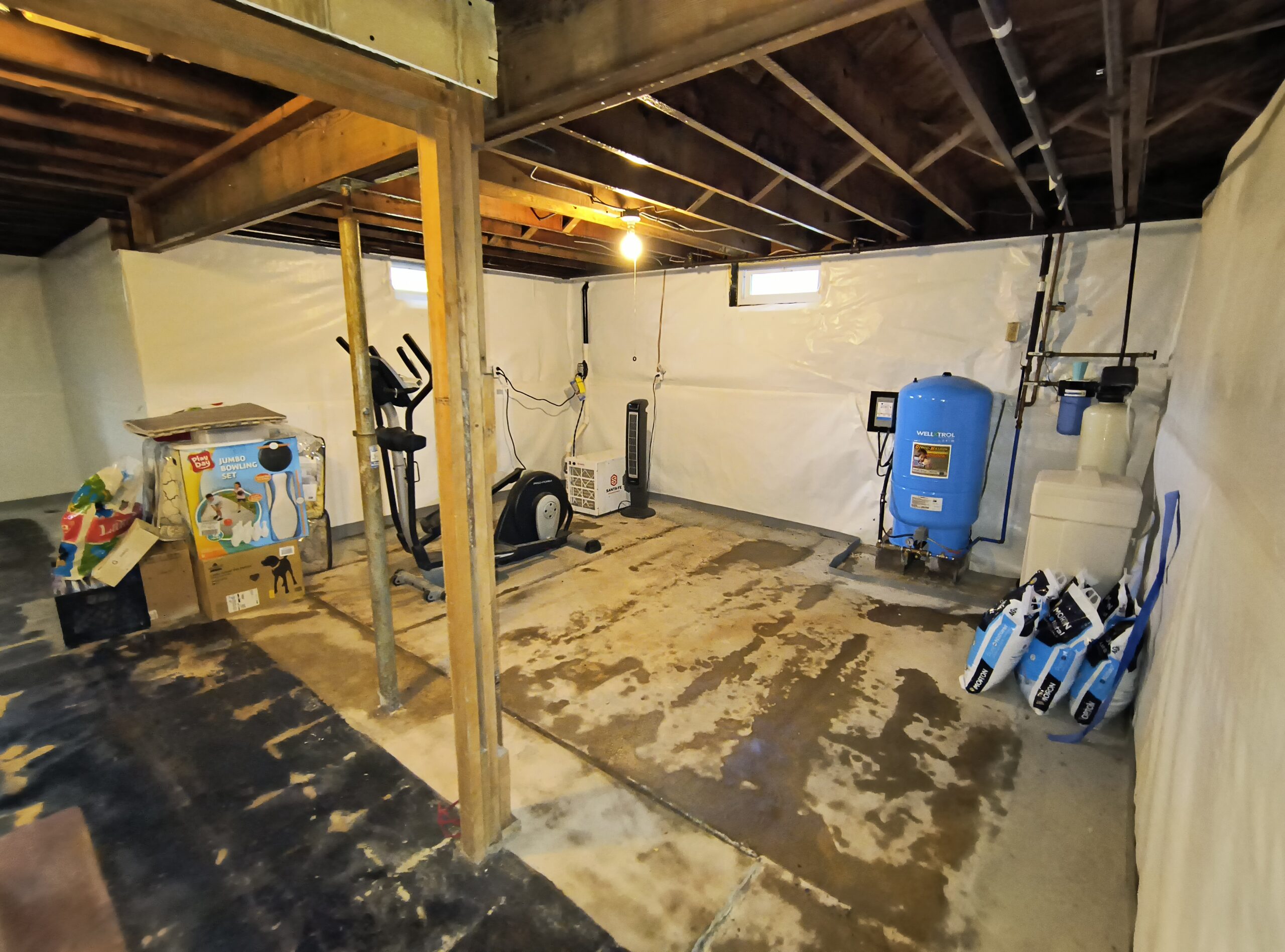 mold in my basement