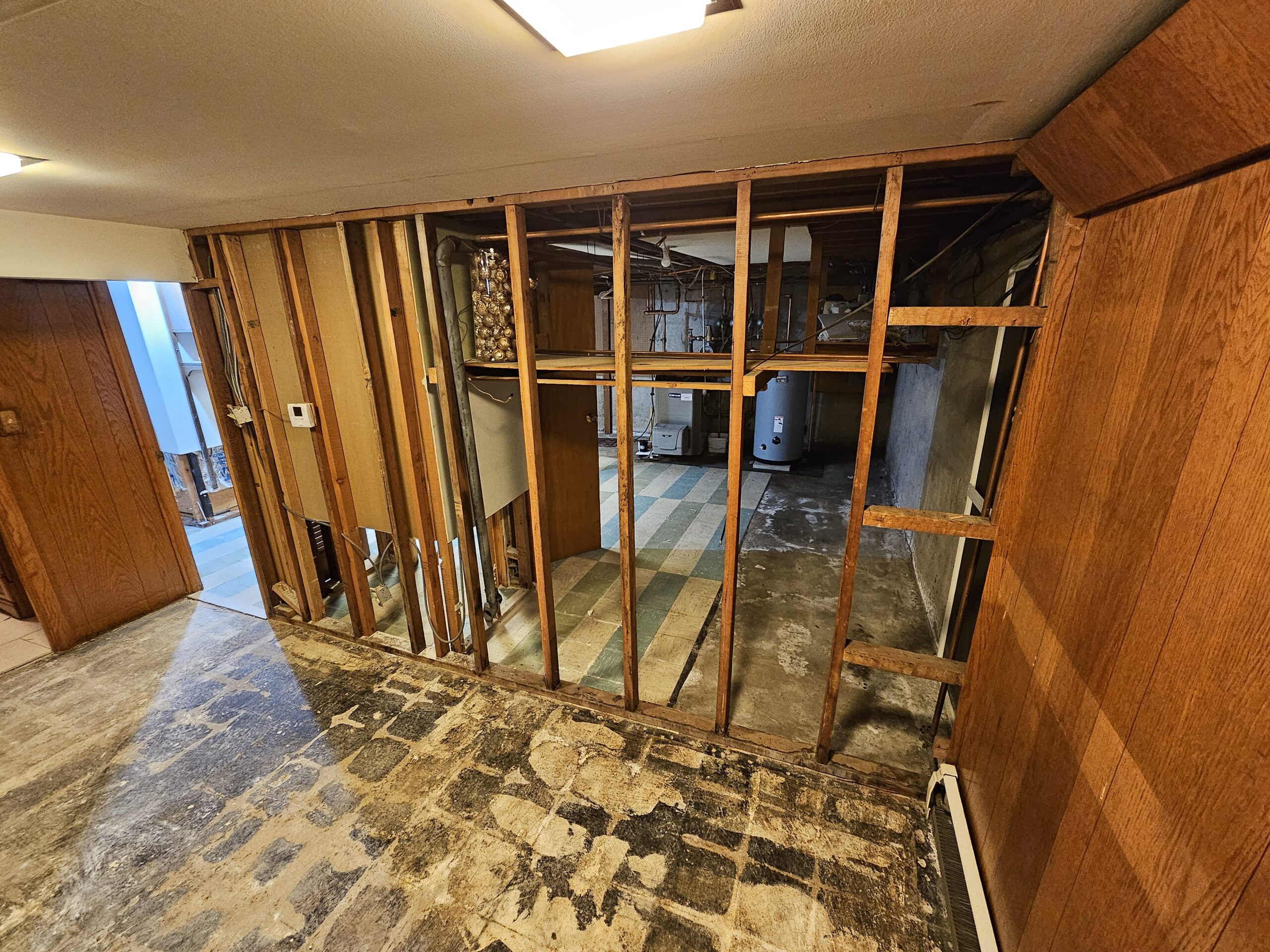 Does Mold Go Away