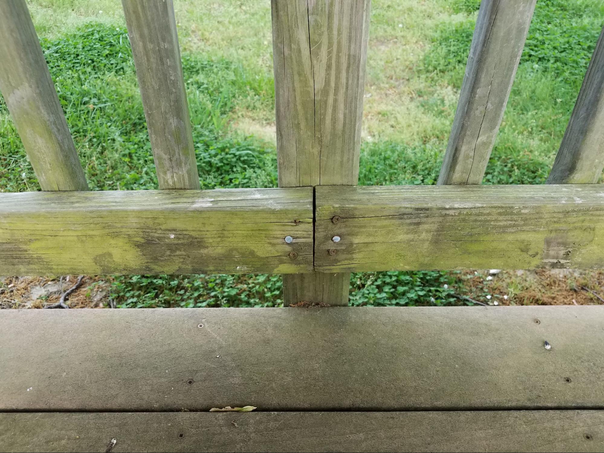 Moldy Decks