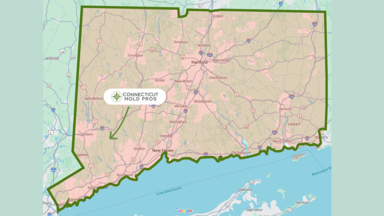 Mold Remediation In CT