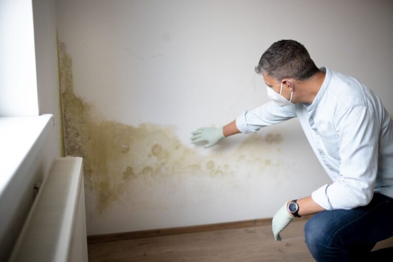 How to Test for Mold In Your House