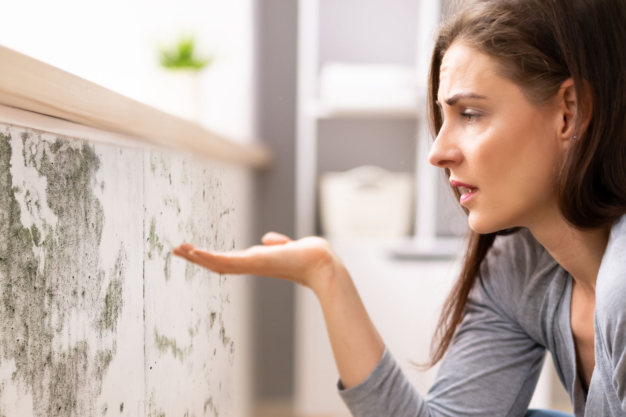 black mold