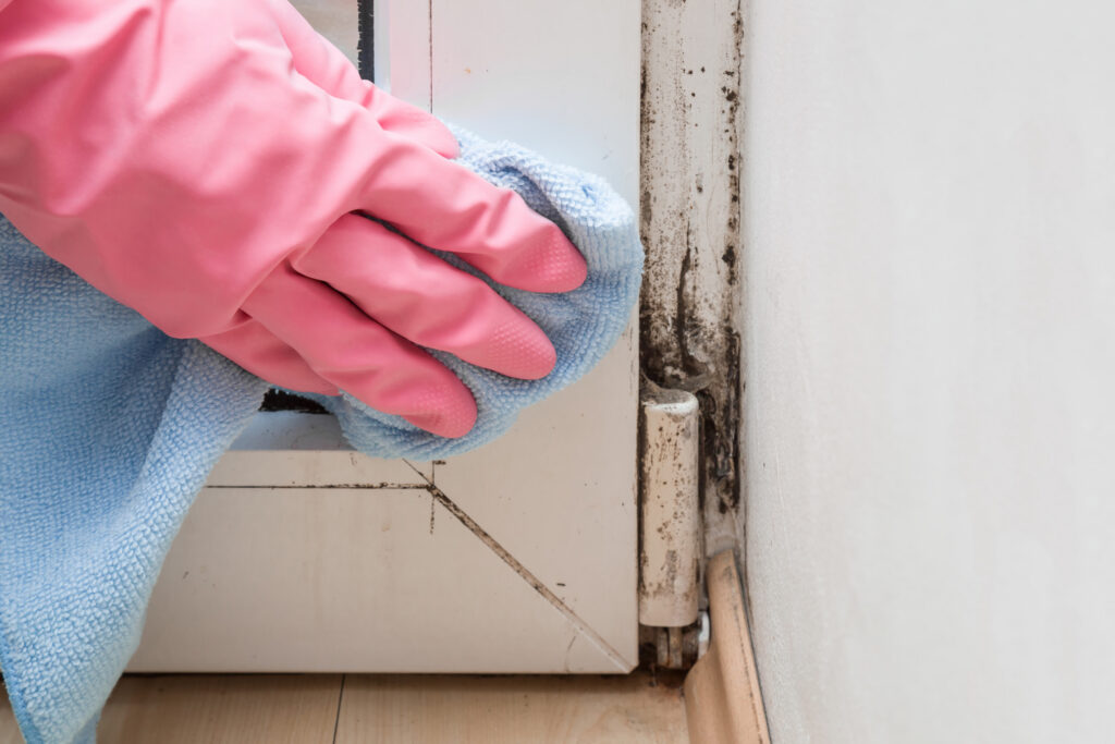 A hand in a pink rubber cleaning glove holds a blue microfiber rag. There is evidence of a mold-like substance growing on the wall and in the corners of the window.