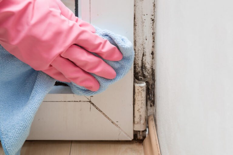 A hand in a pink rubber cleaning glove holds a blue microfiber rag. There is evidence of a mold-like substance growing on the wall and in the corners of the window.