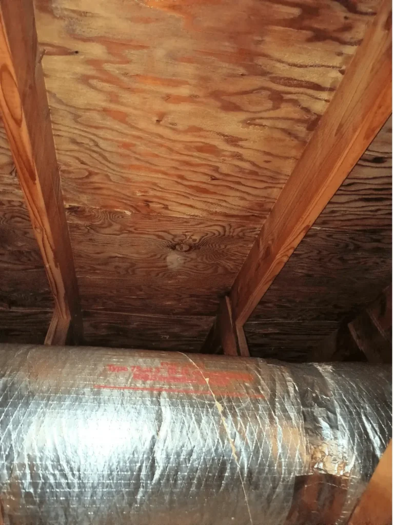 Attic ductwork and roof sheathing after mold remediation