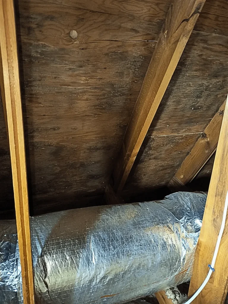 Attic ductwork and roof sheathing with mold, before remediation