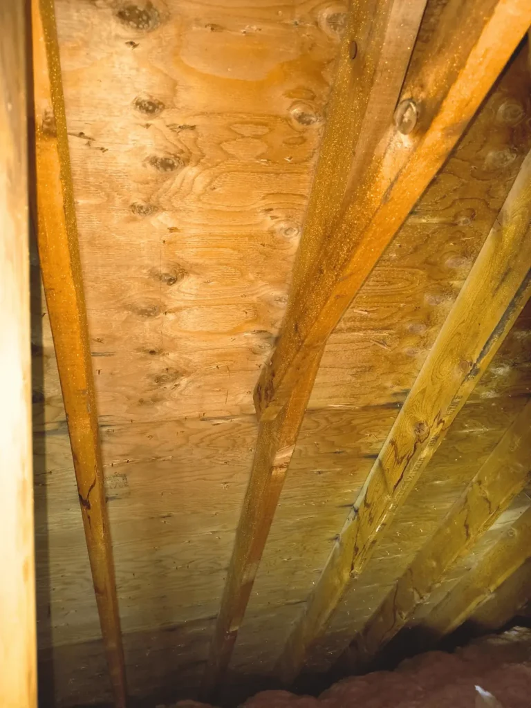Attic rafters after mold remediation