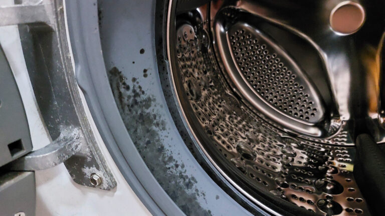 Washing machine showing mold i the rubber gasket lining
