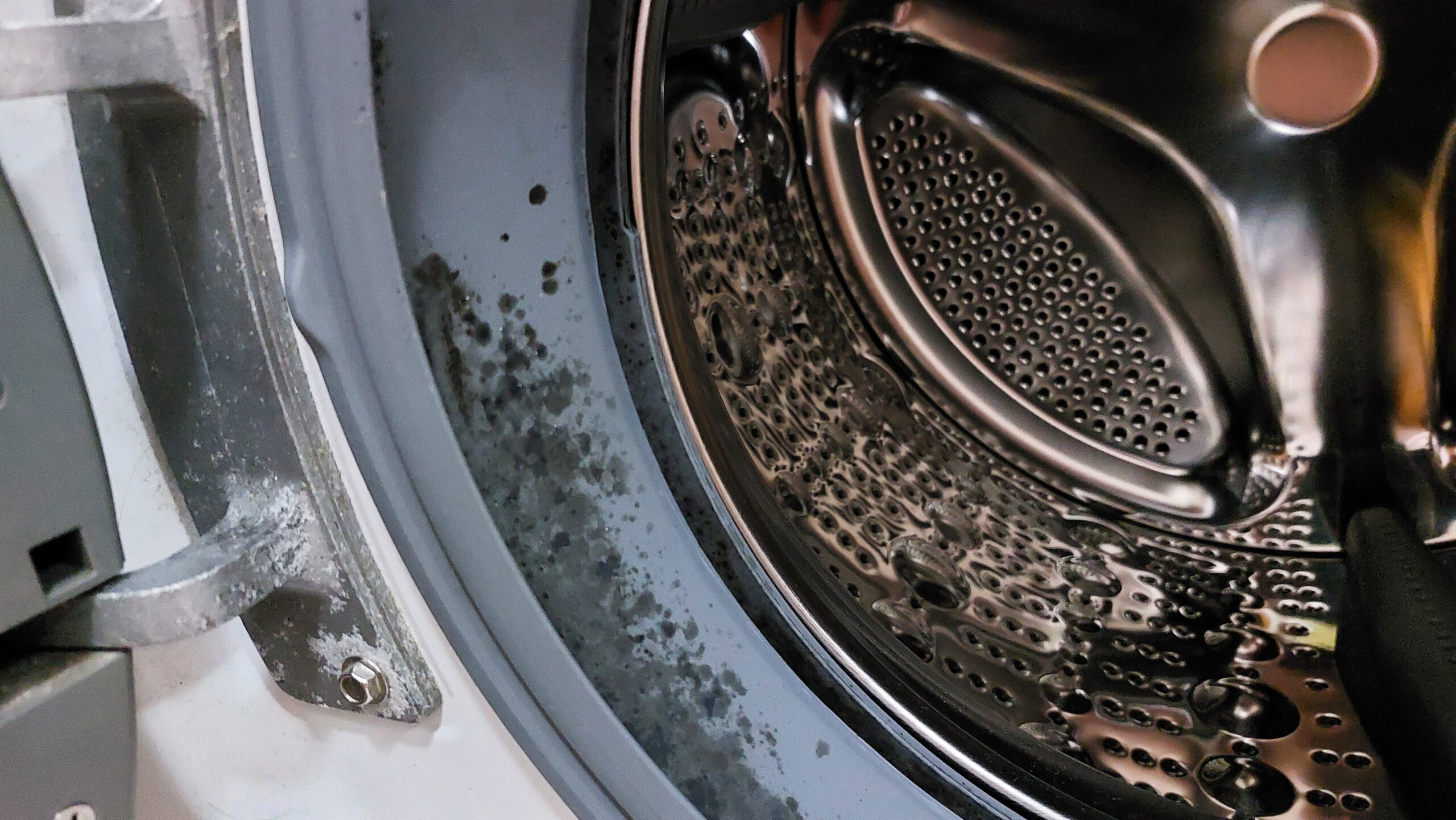 Washing machine showing mold i the rubber gasket lining